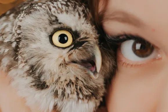 PlayFortuna Kazino Pagalba